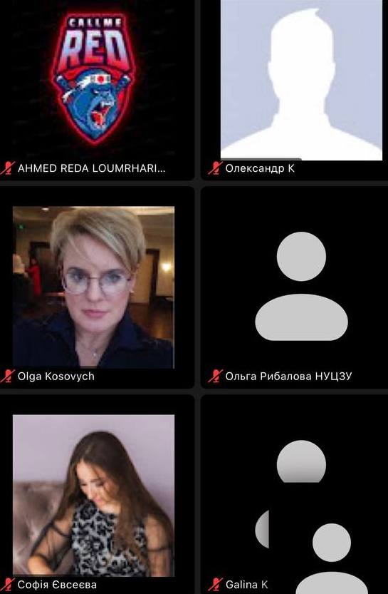Викладачі кафедри романо-германської філології та інші учасники вебінару